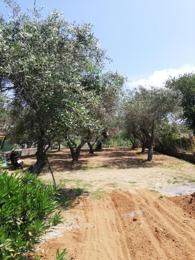 דירה Anestis אגיוס גיורגיוס