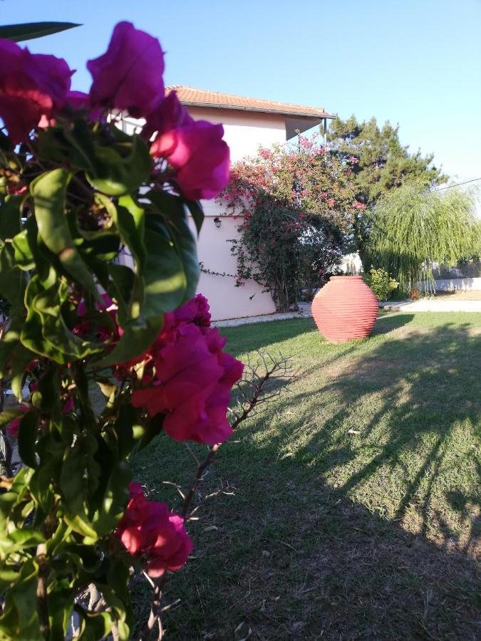 Apartmán Anestis Agios Georgios (Corfu)